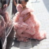Hire dresses from Viki Mindak IMG_6834