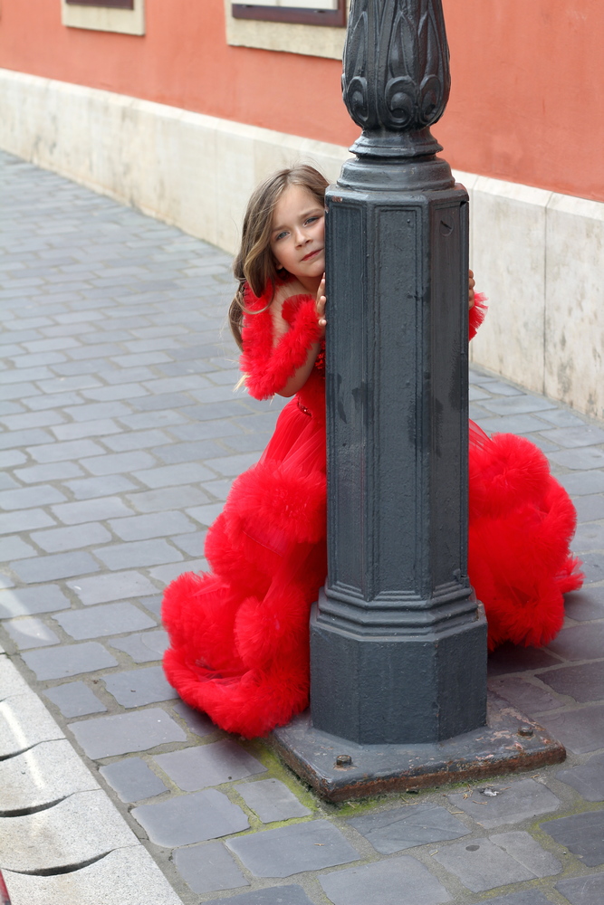 Hire dresses from Viki Mindak IMG_6945