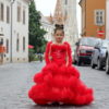 Hire dresses from Viki Mindak IMG_7357