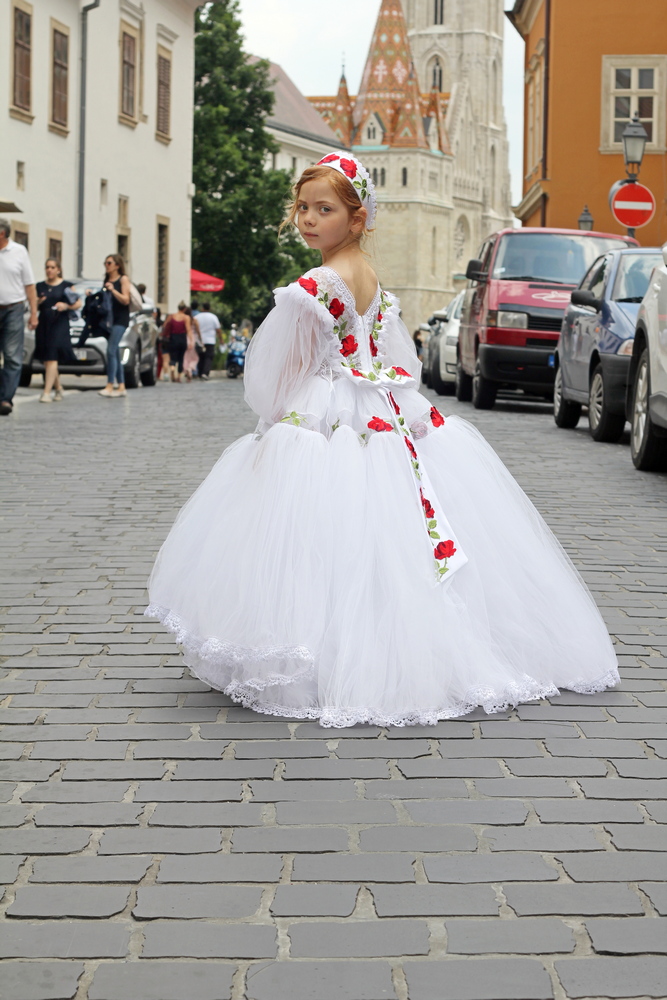 Hire dresses from Viki Mindak IMG_7396